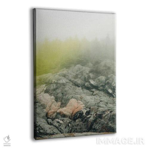 تابلو دکوراتیو صبح ساحلی اثر اولیویا جوی سنت کلر - نمای پرسپکتیو محصول