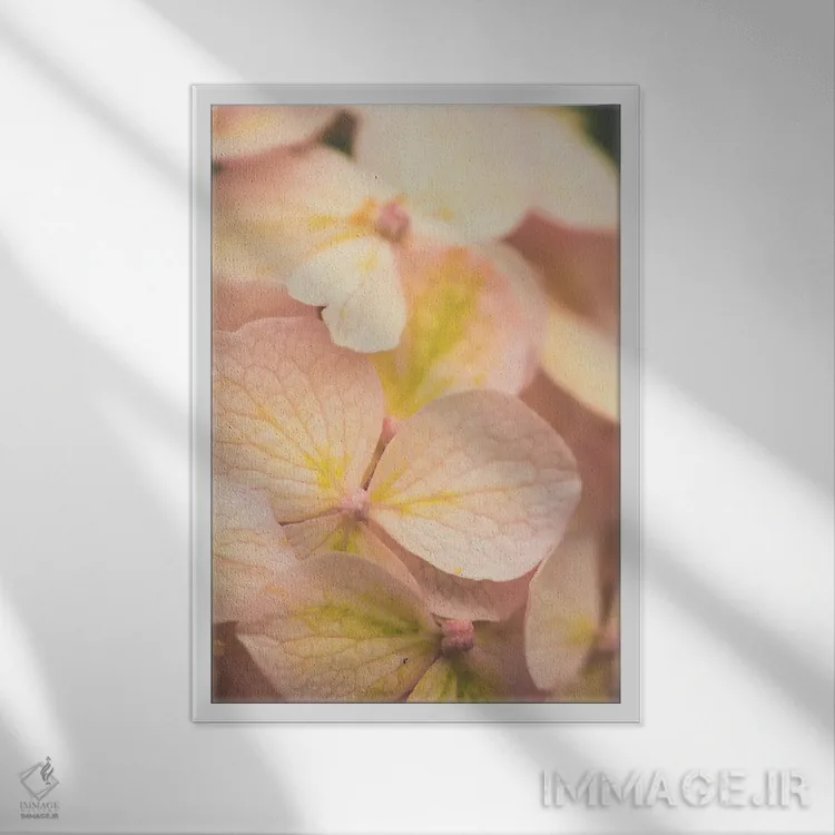 تابلو دکوراتیو ستایش ها اثر اولیویا جوی سنت کلر - نمای قابدار سفید