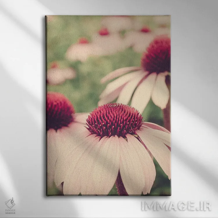 تابلو دکوراتیو نقاشی گیاه شناسی تابستانی I اثر اولیویا جوی سنت کلر - نمای روبهرو روی دیوار