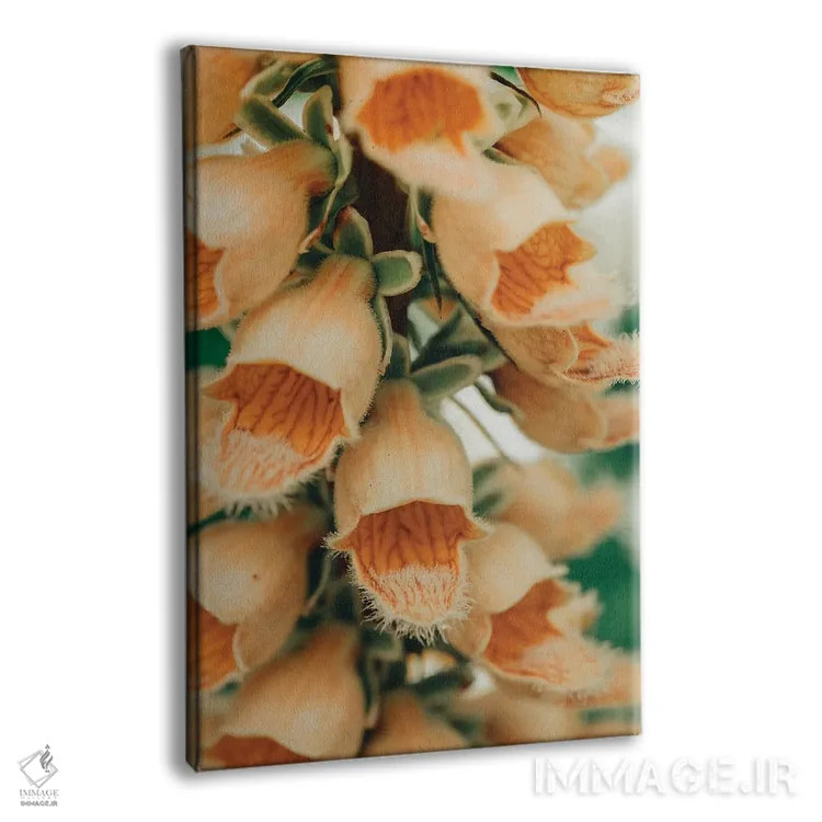 تابلو دکوراتیو نقاشی گیاه شناسی تابستانی III اثر اولیویا جوی سنت کلر - نمای پرسپکتیو محصول