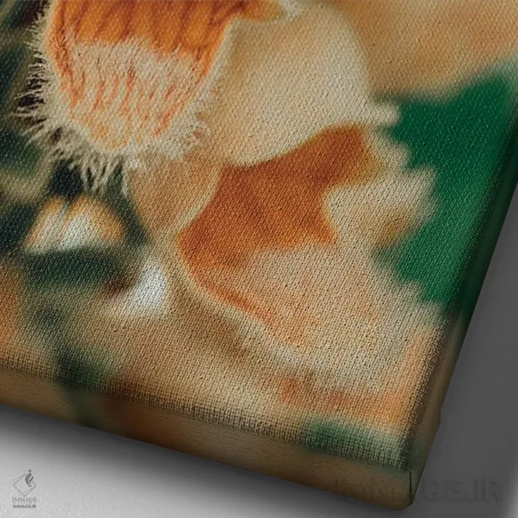 تابلو دکوراتیو نقاشی گیاه شناسی تابستانی III اثر اولیویا جوی سنت کلر - نمای نزدیک بافت بوم