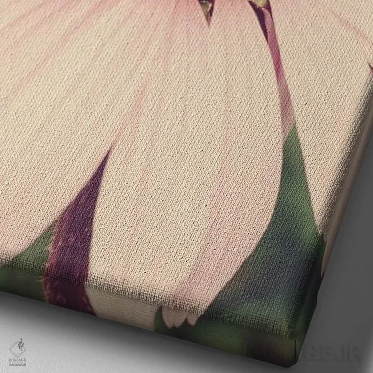 تابلو دکوراتیو نقاشی گیاه شناسی تابستانی I اثر اولیویا جوی سنت کلر - نمای نزدیک بافت بوم