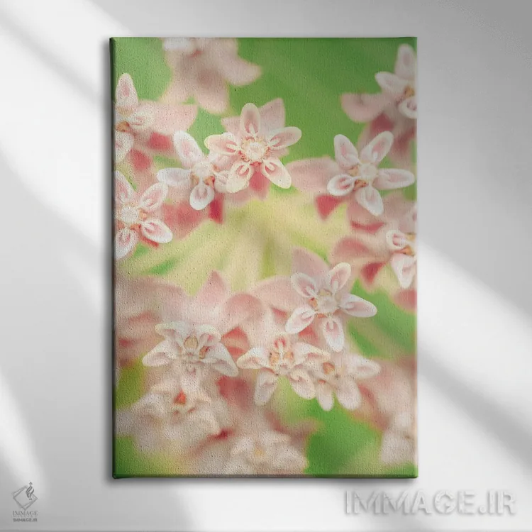 تابلو دکوراتیو نقاشی گیاه شناسی تابستانی II اثر اولیویا جوی سنت کلر - نمای روبهرو روی دیوار