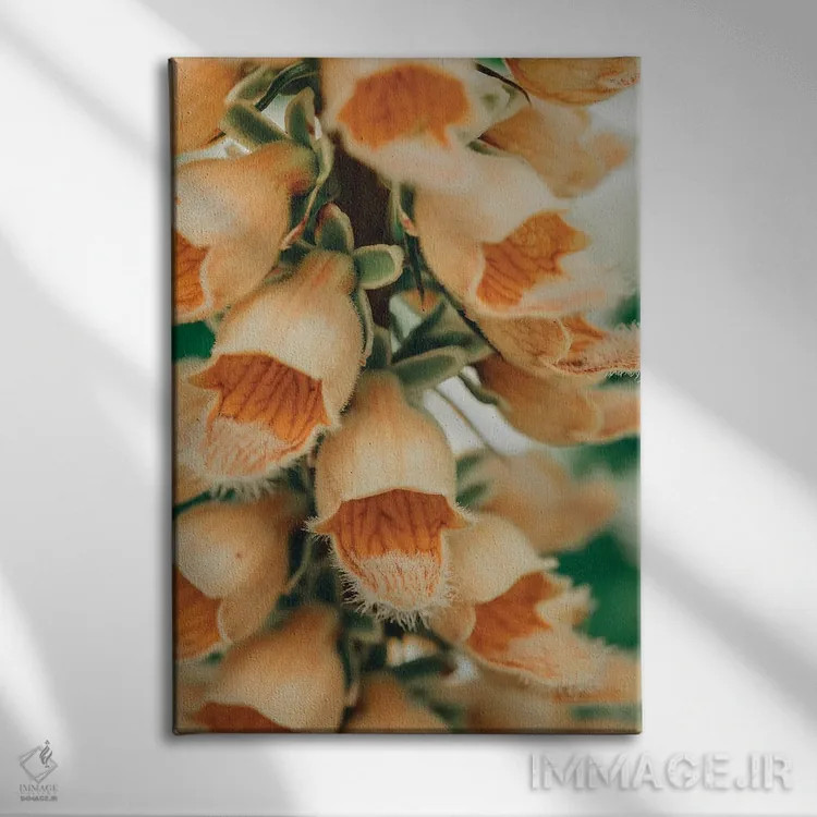 تابلو دکوراتیو نقاشی گیاه شناسی تابستانی III اثر اولیویا جوی سنت کلر - نمای روبهرو روی دیوار