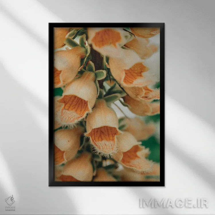 تابلو دکوراتیو نقاشی گیاه شناسی تابستانی III اثر اولیویا جوی سنت کلر - نمای قابدار مشکی