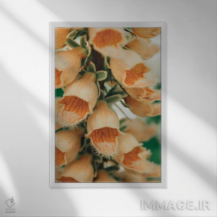 تابلو دکوراتیو نقاشی گیاه شناسی تابستانی III اثر اولیویا جوی سنت کلر - نمای قابدار سفید