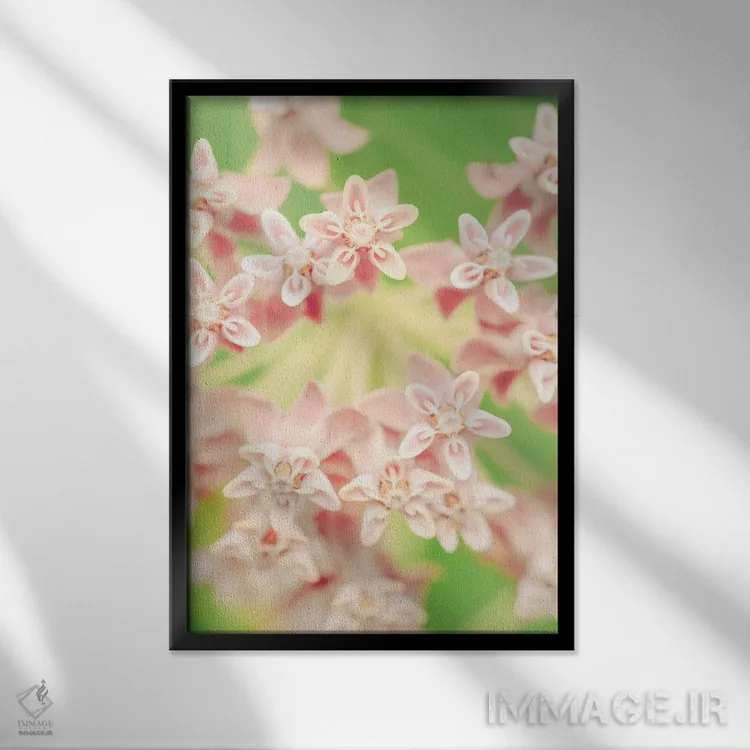 تابلو دکوراتیو نقاشی گیاه شناسی تابستانی II اثر اولیویا جوی سنت کلر - نمای قابدار مشکی