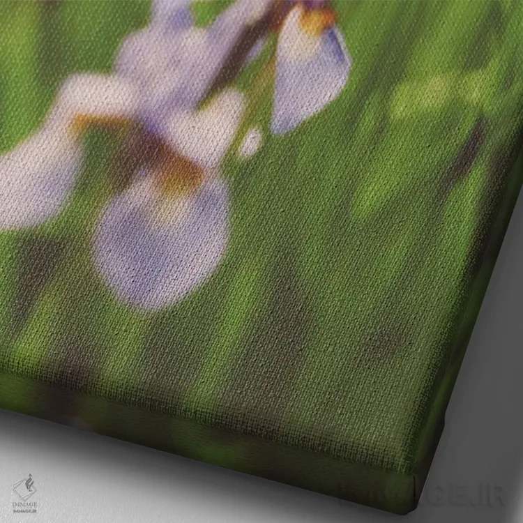 تابلو دکوراتیو مهمانی باغ I اثر اولیویا جوی سنت کلر - نمای نزدیک بافت بوم