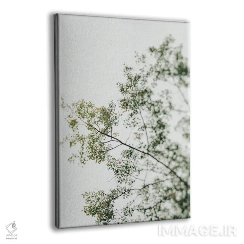 تابلو دکوراتیو سایه بان بالاسر ۱ اثر اولیویا جوی سنت کلر - نمای پرسپکتیو محصول