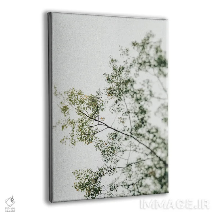 تابلو دکوراتیو سایه بان بالاسر ۱ اثر اولیویا جوی سنت کلر - نمای پرسپکتیو محصول