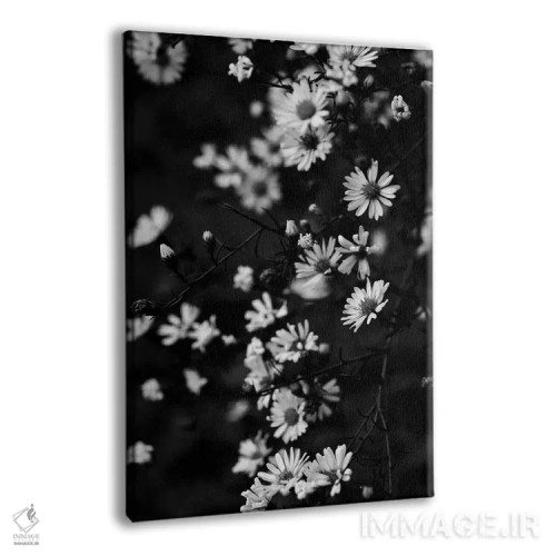 تابلو دکوراتیو بابونه های کوچک تابستانی اثر اولیویا جوی سنت کلر - نمای پرسپکتیو محصول