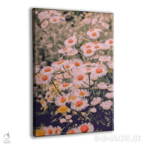 تابلو دکوراتیو بابونه های وحشی اثر اولیویا جوی سنت کلر - نمای پرسپکتیو محصول