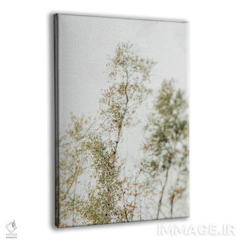 تابلو دکوراتیو سایه بان بالاسر ۲ اثر اولیویا جوی سنت کلر - نمای پرسپکتیو محصول