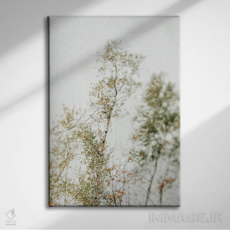 تابلو دکوراتیو سایه بان بالاسر ۲ اثر اولیویا جوی سنت کلر - نمای روبهرو روی دیوار