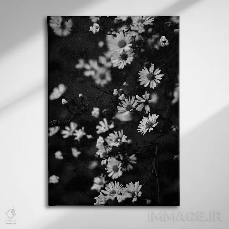 تابلو دکوراتیو بابونه های کوچک تابستانی اثر اولیویا جوی سنت کلر - نمای روبهرو روی دیوار