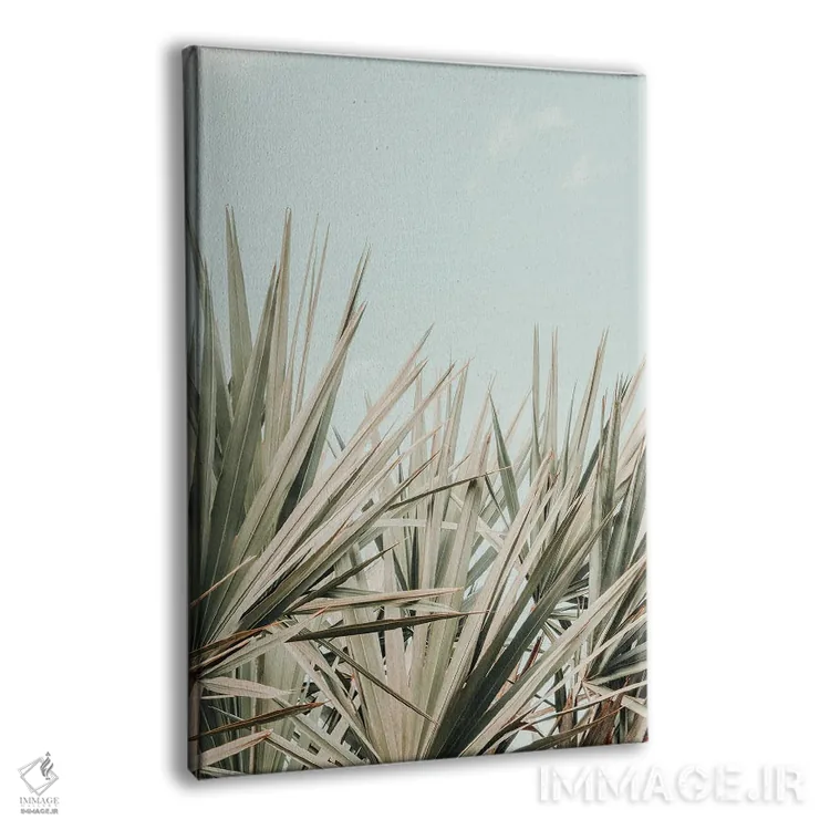 تابلو دکوراتیو صبح استوایی اثر اولیویا جوی سنت کلر - نمای پرسپکتیو محصول