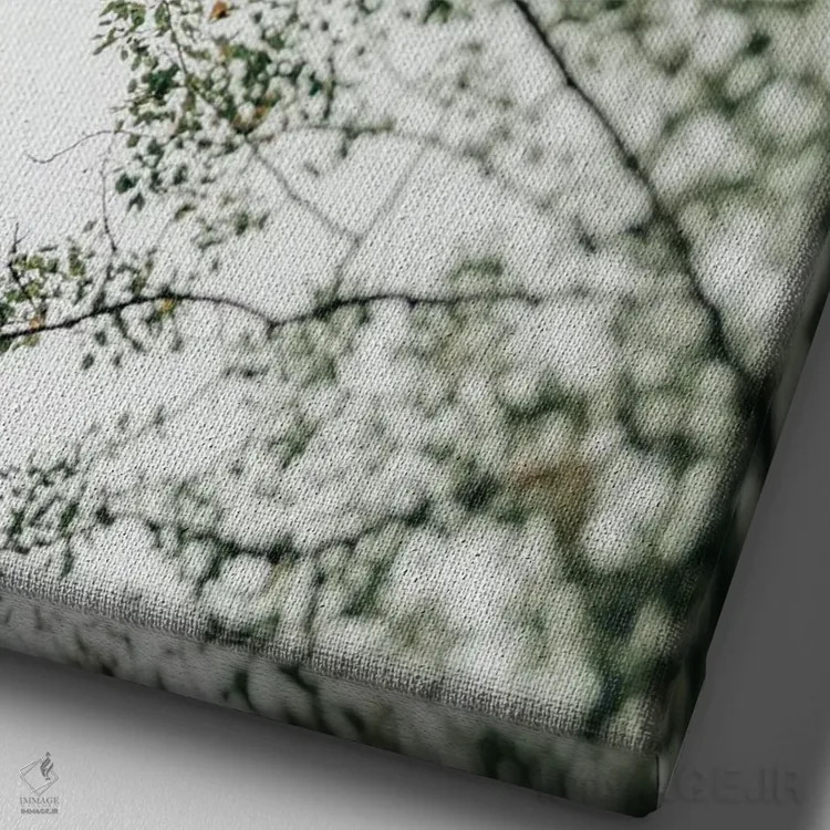 تابلو دکوراتیو سایه بان بالاسر ۱ اثر اولیویا جوی سنت کلر - نمای نزدیک بافت بوم