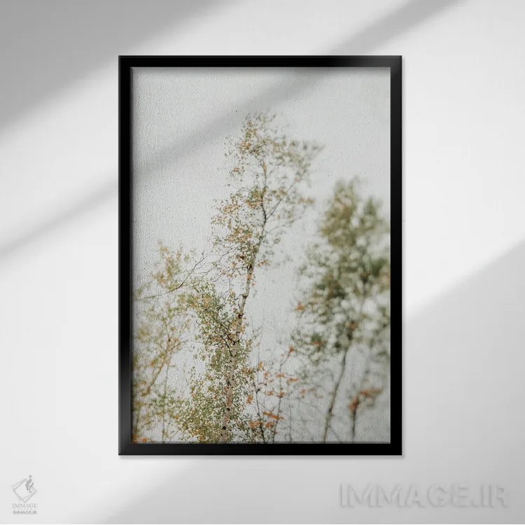 تابلو دکوراتیو سایه بان بالاسر ۲ اثر اولیویا جوی سنت کلر - نمای قابدار مشکی