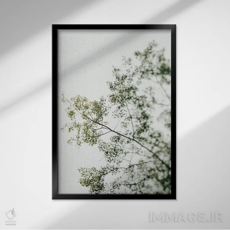 تابلو دکوراتیو سایه بان بالاسر ۱ اثر اولیویا جوی سنت کلر - نمای قابدار مشکی