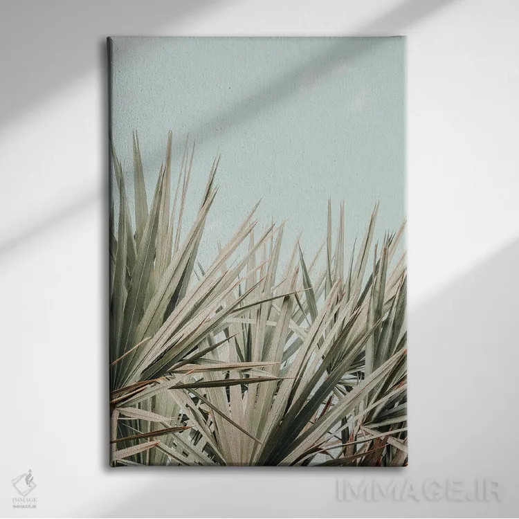 تابلو دکوراتیو صبح استوایی اثر اولیویا جوی سنت کلر - نمای روبهرو روی دیوار