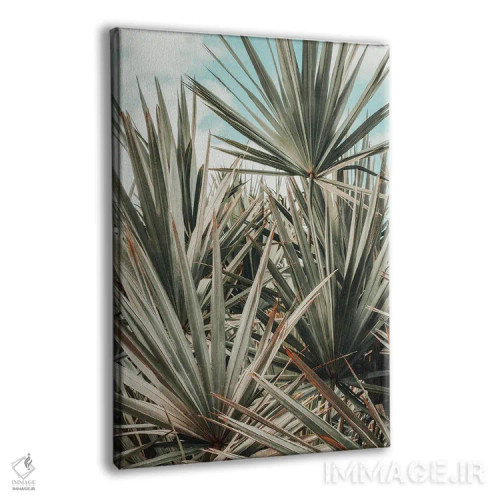 تابلو دکوراتیو صبح در ساحل اثر اولیویا جوی سنت کلر - نمای پرسپکتیو محصول