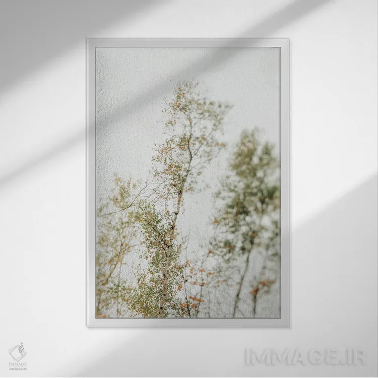 تابلو دکوراتیو سایه بان بالاسر ۲ اثر اولیویا جوی سنت کلر - نمای قابدار سفید