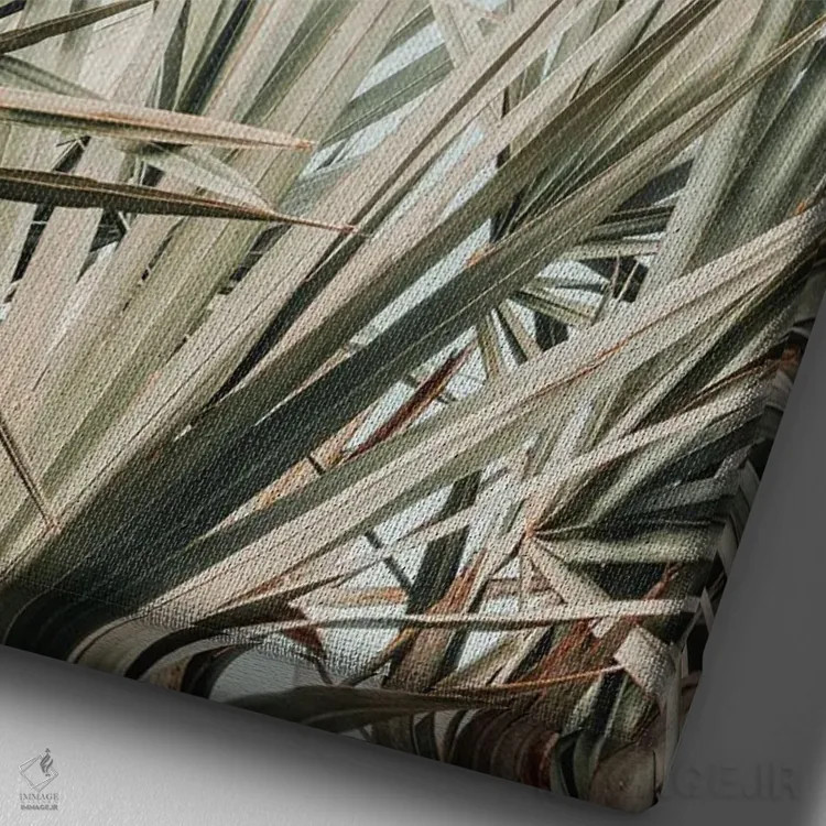 تابلو دکوراتیو صبح استوایی اثر اولیویا جوی سنت کلر - نمای نزدیک بافت بوم