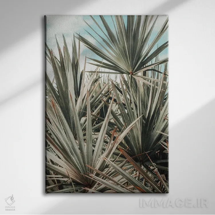 تابلو دکوراتیو صبح در ساحل اثر اولیویا جوی سنت کلر - نمای روبهرو روی دیوار