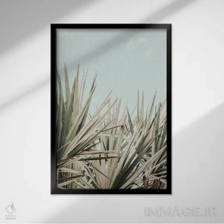 تابلو دکوراتیو صبح استوایی اثر اولیویا جوی سنت کلر - نمای قابدار مشکی