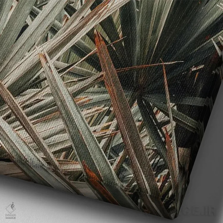 تابلو دکوراتیو صبح در ساحل اثر اولیویا جوی سنت کلر - نمای نزدیک بافت بوم