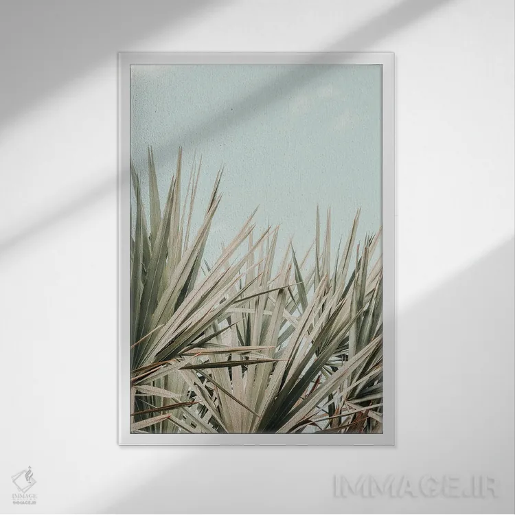 تابلو دکوراتیو صبح استوایی اثر اولیویا جوی سنت کلر - نمای قابدار سفید