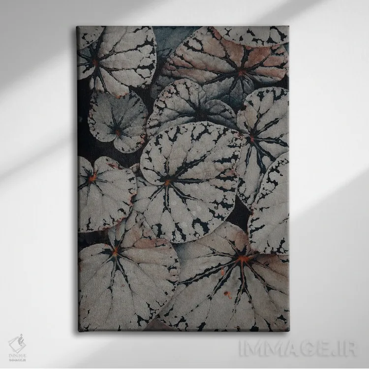 تابلو دکوراتیو مطالعه برگ بگونیا اثر اولیویا جوی سنت کلر - نمای روبهرو روی دیوار