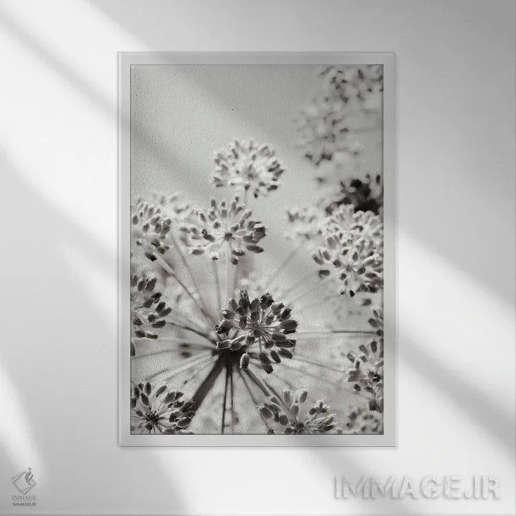تابلو دکوراتیو طرح گیاه شناسی خاکستری VIII اثر اولیویا جوی سنت کلر - نمای قابدار سفید