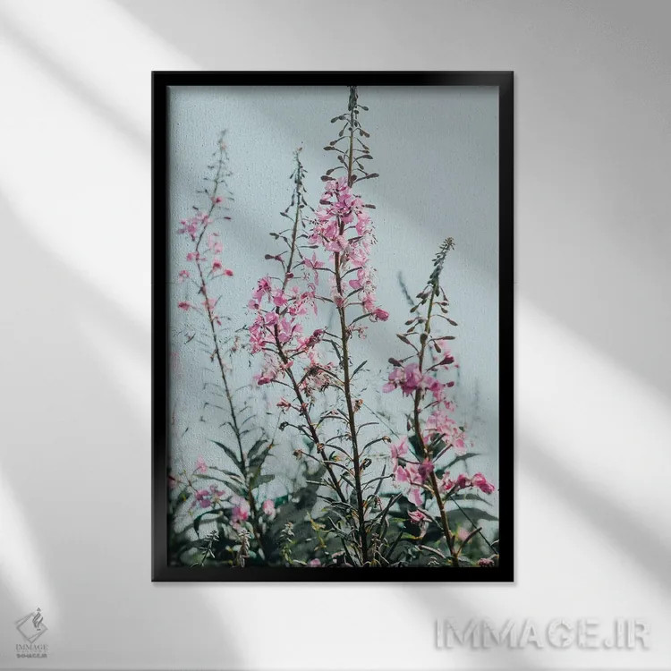 تابلو دکوراتیو گل های وحشی تابستانی اثر اولیویا جوی سنت کلر - نمای قابدار مشکی