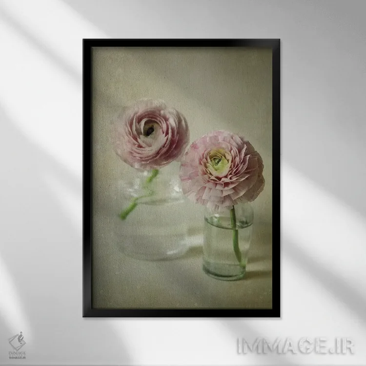 تابلو مدرن شکوفه بهاری اثر اولیویا جوی سنت کلر - نمای قابدار مشکی