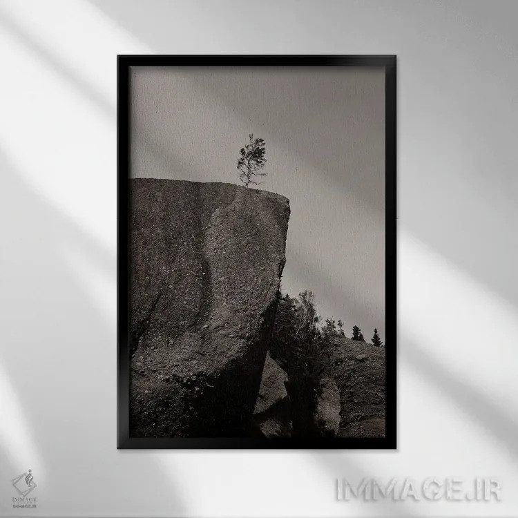 تابلو دکوراتیو درخت کوچک اثر اولیویا جوی سنت کلر - نمای قابدار مشکی