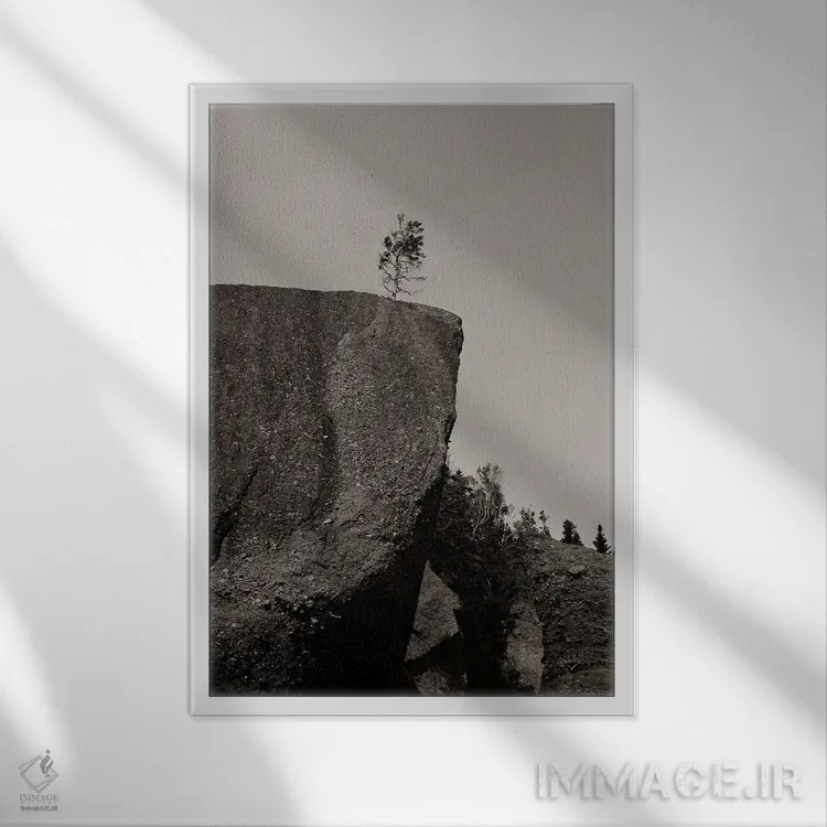 تابلو دکوراتیو درخت کوچک اثر اولیویا جوی سنت کلر - نمای قابدار سفید