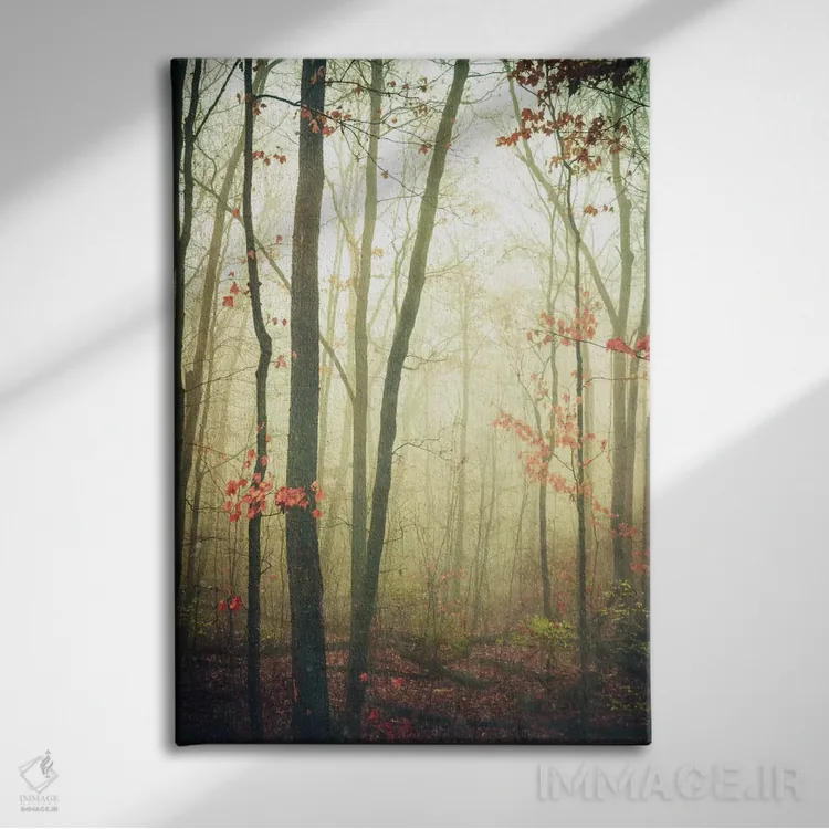 تابلو دکوراتیو Dark, And Deep" اثر اولیویا جوی سنت کلر - نمای روبهرو روی دیوار