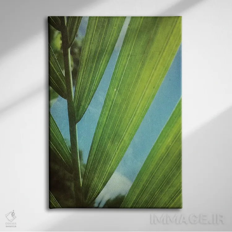 تابلو دکوراتیو چشم اندازی گرمسیری اثر اولیویا جوی سنت کلر - نمای روبهرو روی دیوار