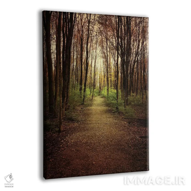 تابلو دکوراتیو پرسه در جنگل اثر اولیویا جوی سنت کلر - نمای پرسپکتیو محصول