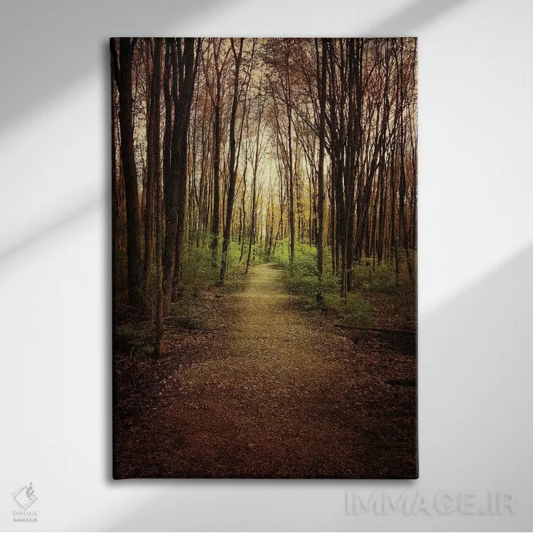 تابلو دکوراتیو پرسه در جنگل اثر اولیویا جوی سنت کلر - نمای روبهرو روی دیوار