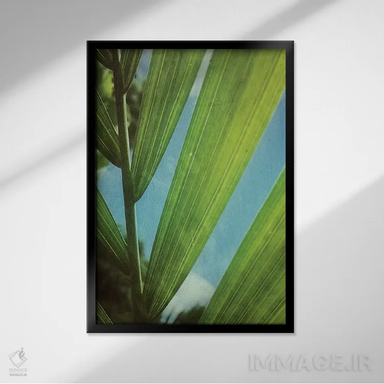 تابلو دکوراتیو چشم اندازی گرمسیری اثر اولیویا جوی سنت کلر - نمای قابدار مشکی