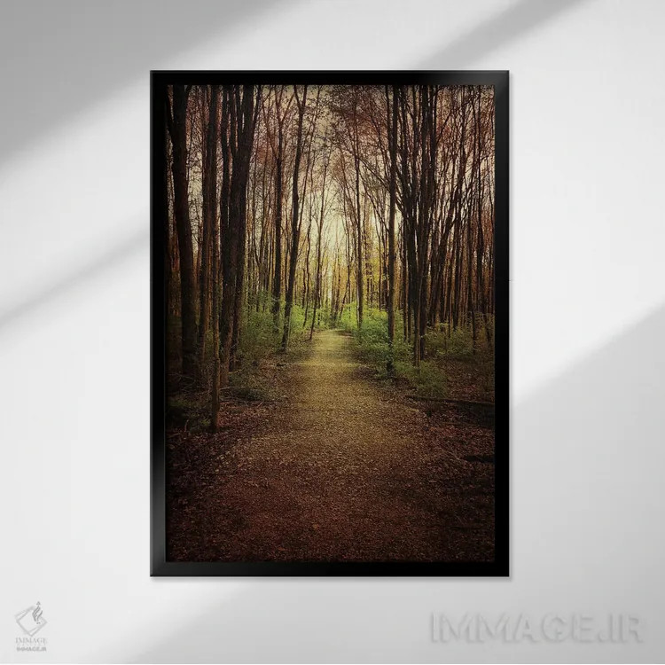 تابلو دکوراتیو پرسه در جنگل اثر اولیویا جوی سنت کلر - نمای قابدار مشکی