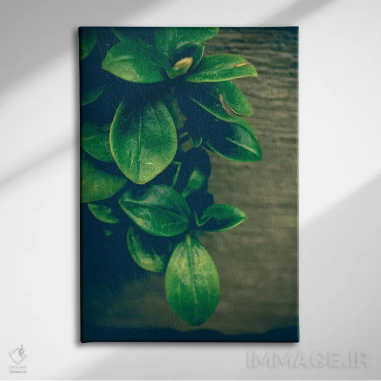 تابلو دکوراتیو هماهنگ شو اثر اولیویا جوی سنت کلر - نمای روبهرو روی دیوار