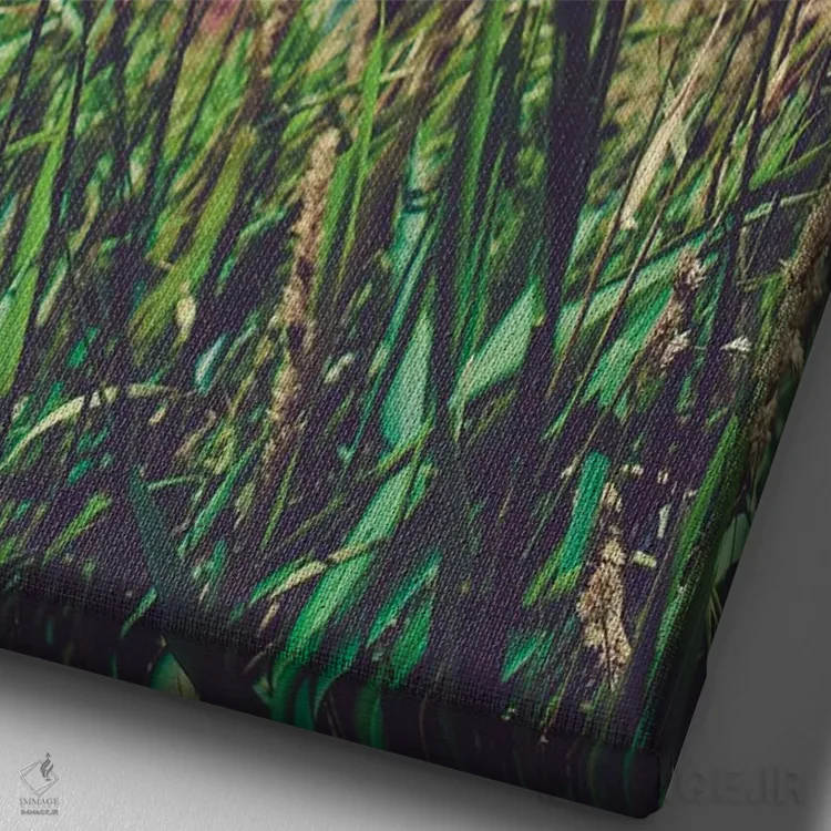 تابلو مدرن انبار فراموش شده اثر اولیویا جوی سنت کلر - نمای نزدیک بافت بوم