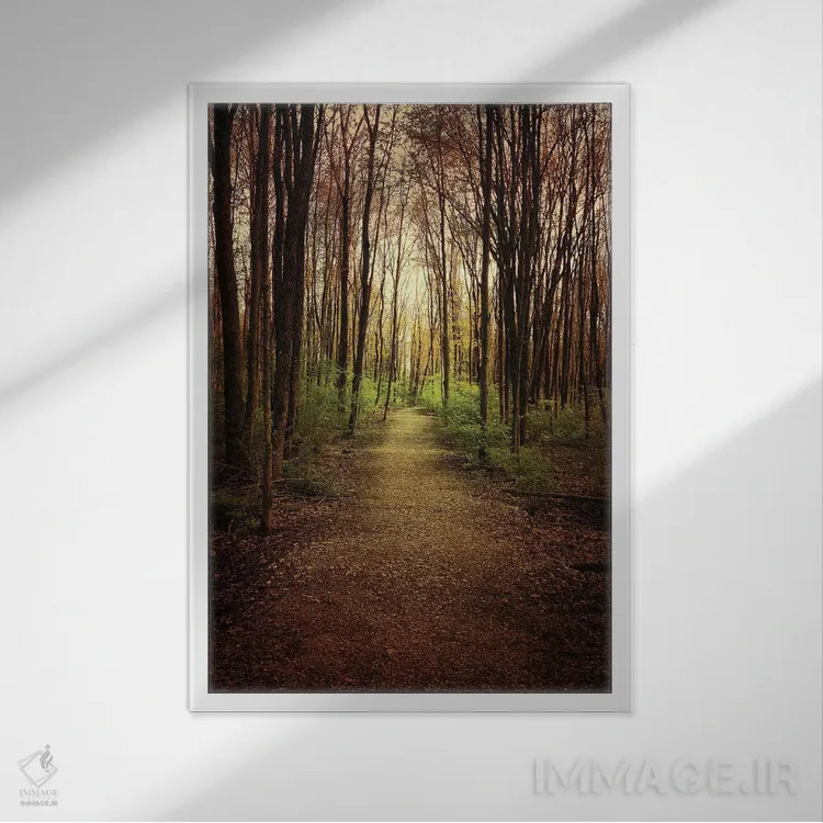 تابلو دکوراتیو پرسه در جنگل اثر اولیویا جوی سنت کلر - نمای قابدار سفید