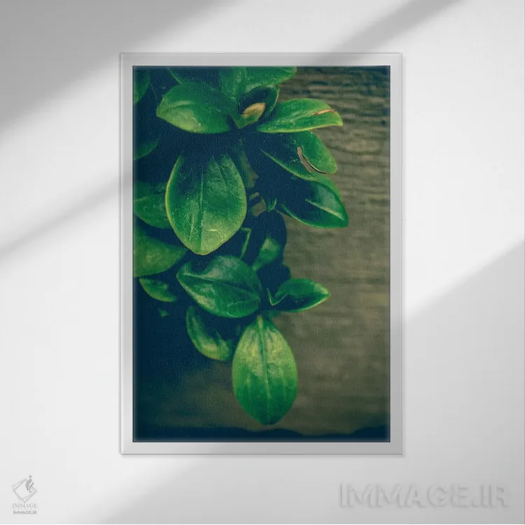 تابلو دکوراتیو هماهنگ شو اثر اولیویا جوی سنت کلر - نمای قابدار سفید