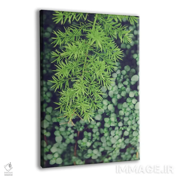 تابلو دکوراتیو همان گونه که هست اثر اولیویا جوی سنت کلر - نمای پرسپکتیو محصول