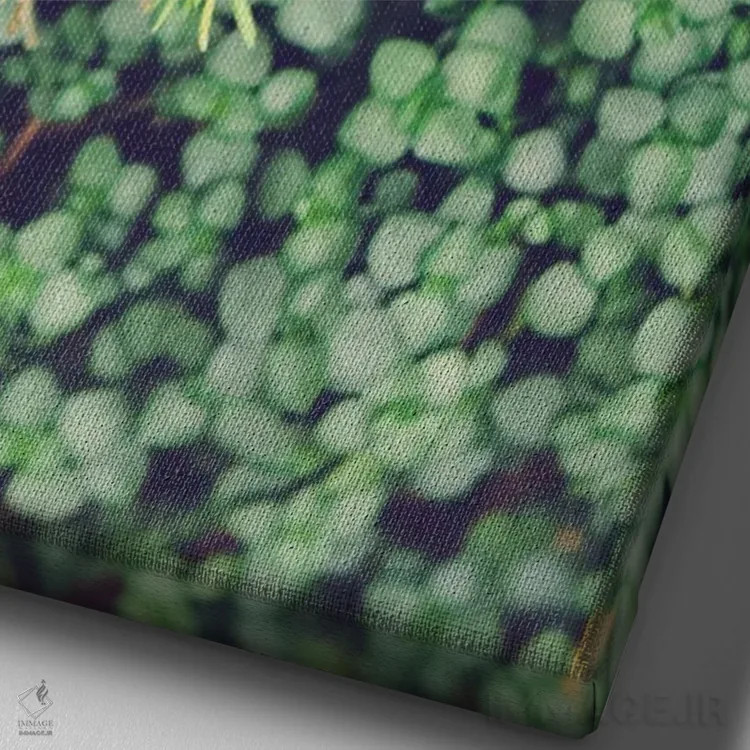 تابلو دکوراتیو همان گونه که هست اثر اولیویا جوی سنت کلر - نمای نزدیک بافت بوم