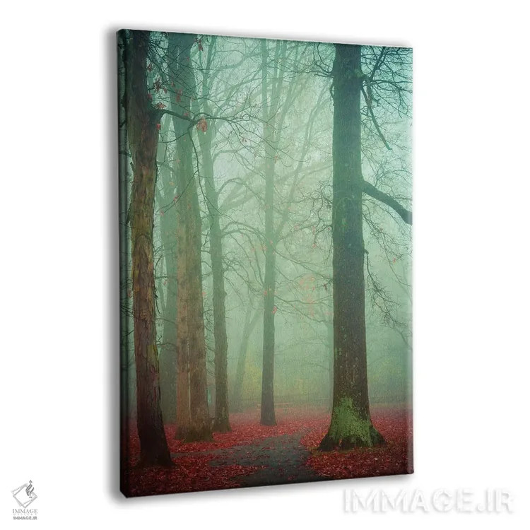 تابلو دکوراتیو مه پاییزی اثر اولیویا جوی سنت کلر - نمای پرسپکتیو محصول